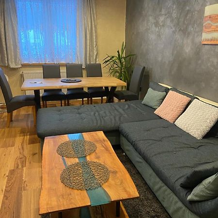 Apartman Orlicke Hory Orlicke Zahori Exterior foto