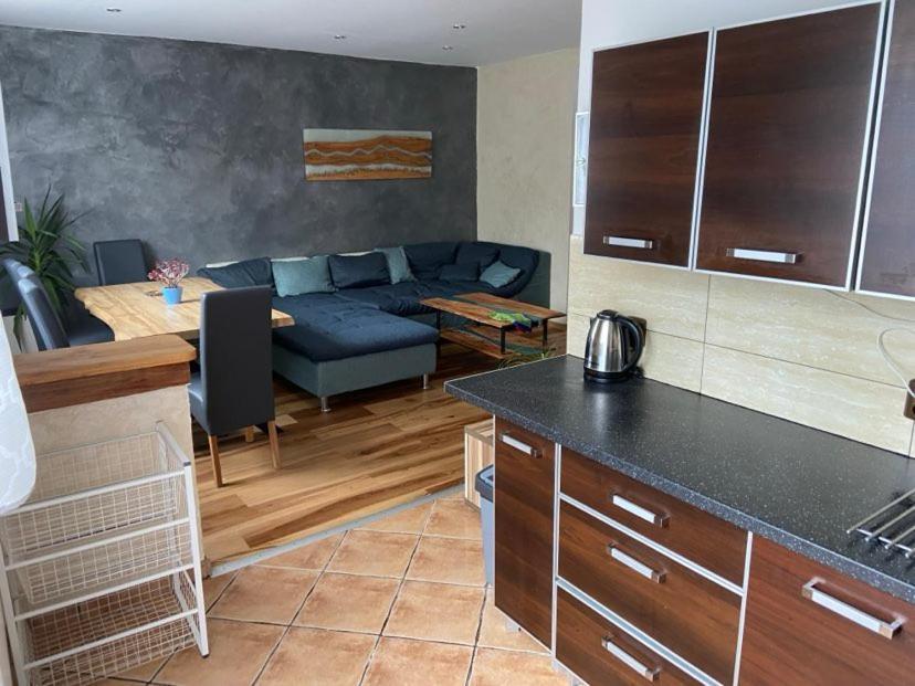 Apartman Orlicke Hory Orlicke Zahori Exterior foto