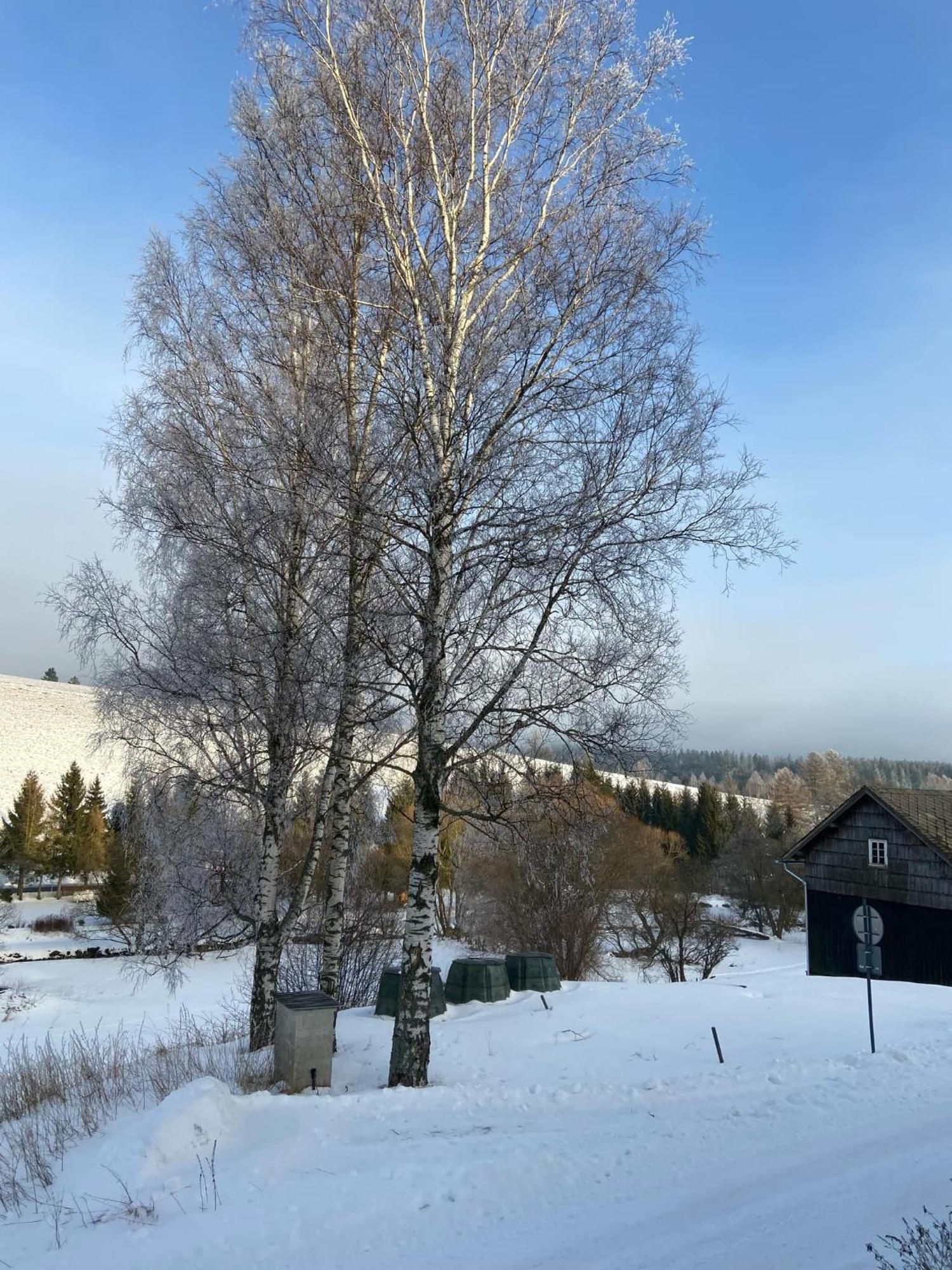 Apartman Orlicke Hory Orlicke Zahori Exterior foto